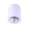 Led Surface Mounted Light-wh Large Hudson