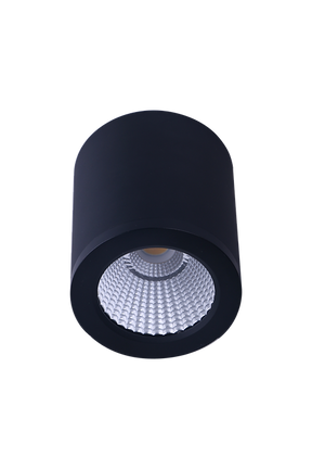 Led Surface Mounted Light Bk Medium Hudson