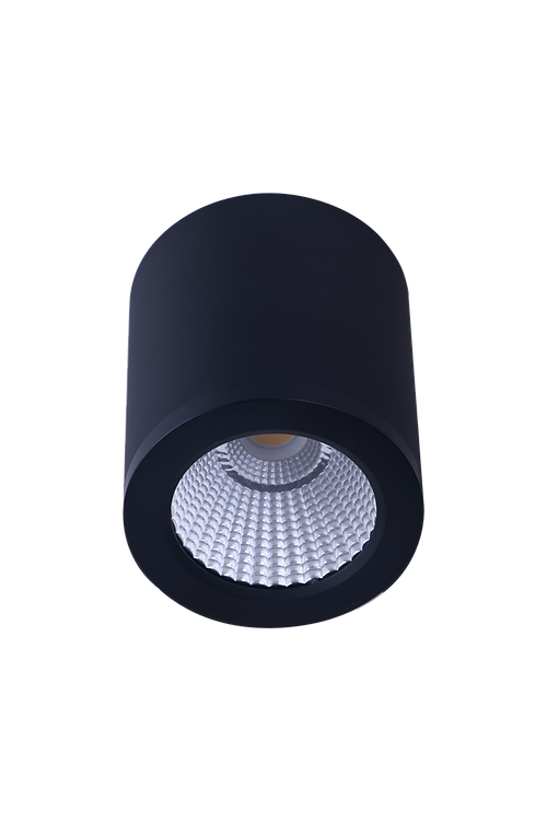 Led Surface Mounted Light Bk Medium Hudson