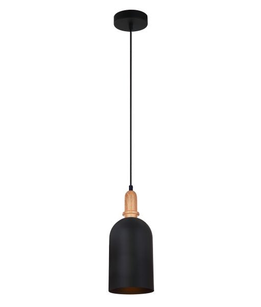 HORTEN2 Pendant light