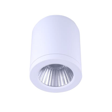 Led Surface Mounted Light Wh Medium Hudson