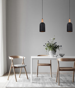 HORTEN2 Pendant light